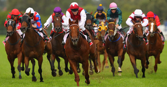 Knight at the Races – KOC Council 4397